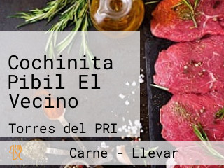 Cochinita Pibil El Vecino