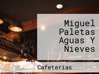 Miguel Paletas Aguas Y Nieves