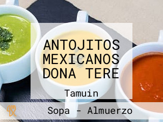 ANTOJITOS MEXICANOS DONA TERE