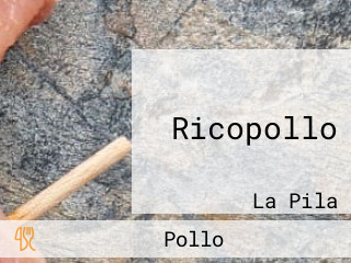 Ricopollo