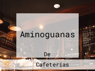 Aminoguanas