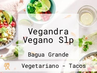 Vegandra Vegano Slp