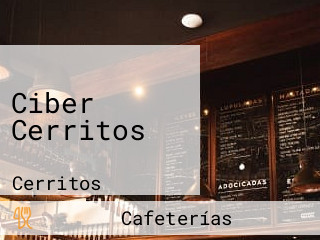 Ciber Cerritos