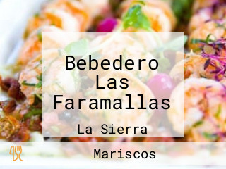 Bebedero Las Faramallas