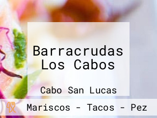 Barracrudas Los Cabos