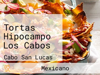 Tortas Hipocampo Los Cabos