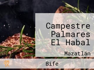 Campestre Palmares El Habal