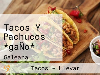 Tacos Y Pachucos *gaÑo*