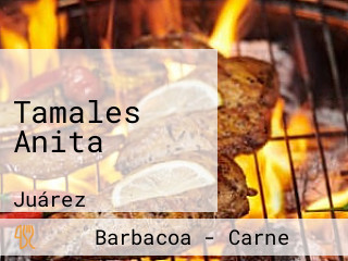 Tamales Anita