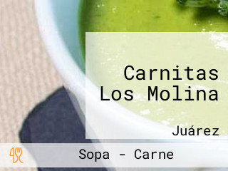 Carnitas Los Molina