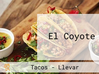 El Coyote