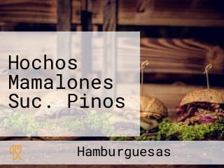 Hochos Mamalones Suc. Pinos