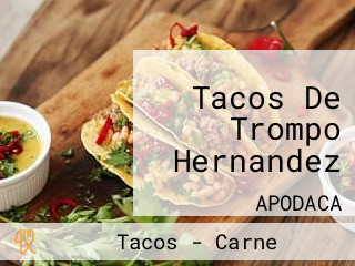 Tacos De Trompo Hernandez