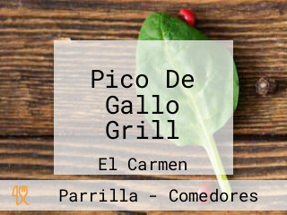 Pico De Gallo Grill