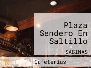 Plaza Sendero En Saltillo