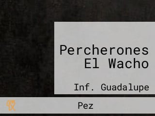 Percherones El Wacho