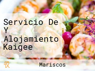 Servicio De Y Alojamiento Kaigee