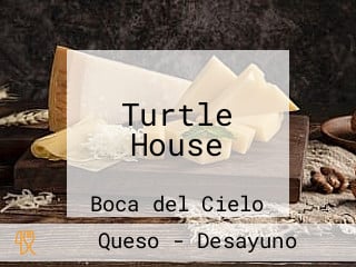 Turtle House