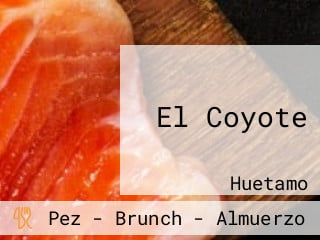 El Coyote