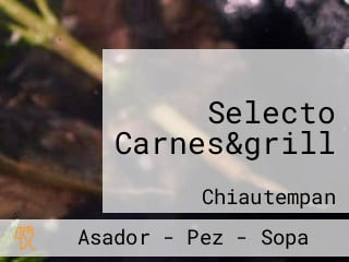 Selecto Carnes&grill