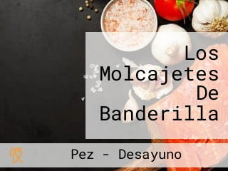 Los Molcajetes De Banderilla