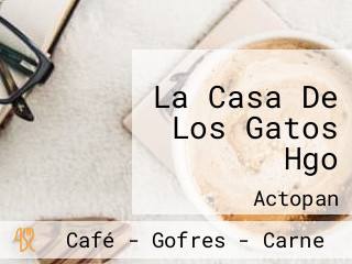 La Casa De Los Gatos Hgo