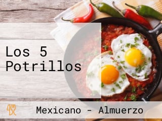 Los 5 Potrillos