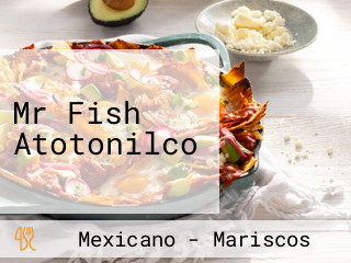 Mr Fish Atotonilco