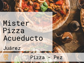 Mister Pizza Acueducto