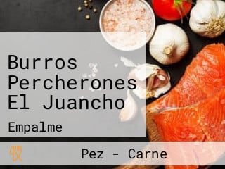 Burros Percherones El Juancho