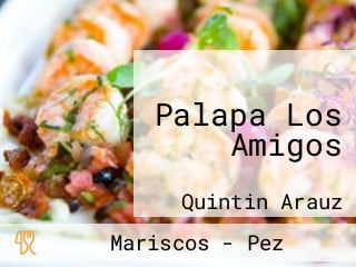 Palapa Los Amigos