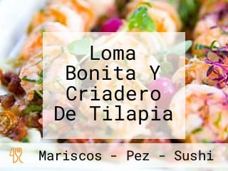 Loma Bonita Y Criadero De Tilapia