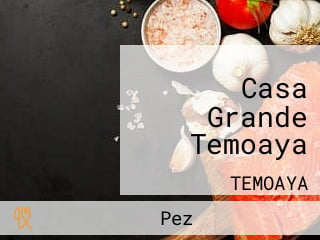 Casa Grande Temoaya