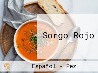 Sorgo Rojo