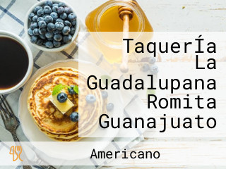 TaquerÍa La Guadalupana Romita Guanajuato