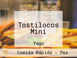 Tostilocos Mini