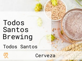 Todos Santos Brewing