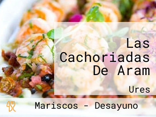 Las Cachoriadas De Aram