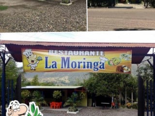 La Moringa