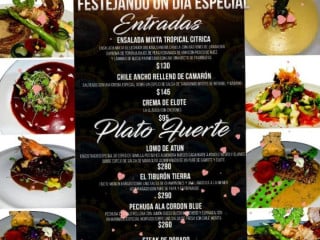 El Tiburón De La Costa San Jose Ixtapa- Barrio Viejo