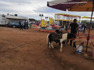 Feria Del Ostion