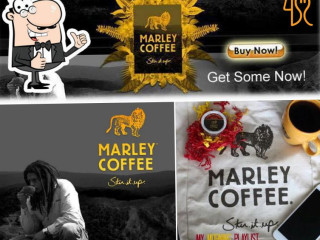 Marley Coffee Sureste Mexico