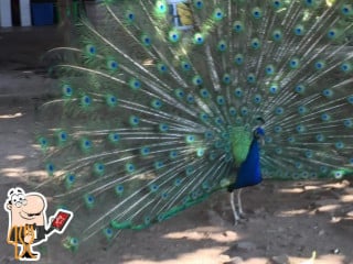 Campestre San Martín De Los Pinos