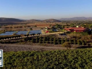 Loma Bonita Y Criadero De Tilapia