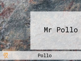 Mr Pollo