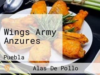 Wings Army Anzures