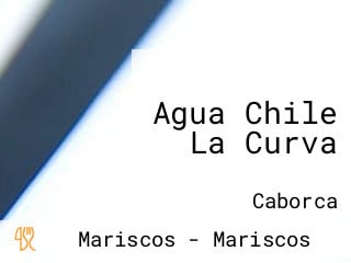 Agua Chile La Curva