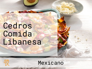 Cedros Comida Libanesa