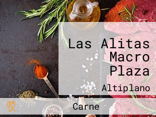 Las Alitas Macro Plaza