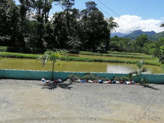 Criadero De Peces El Triangulo